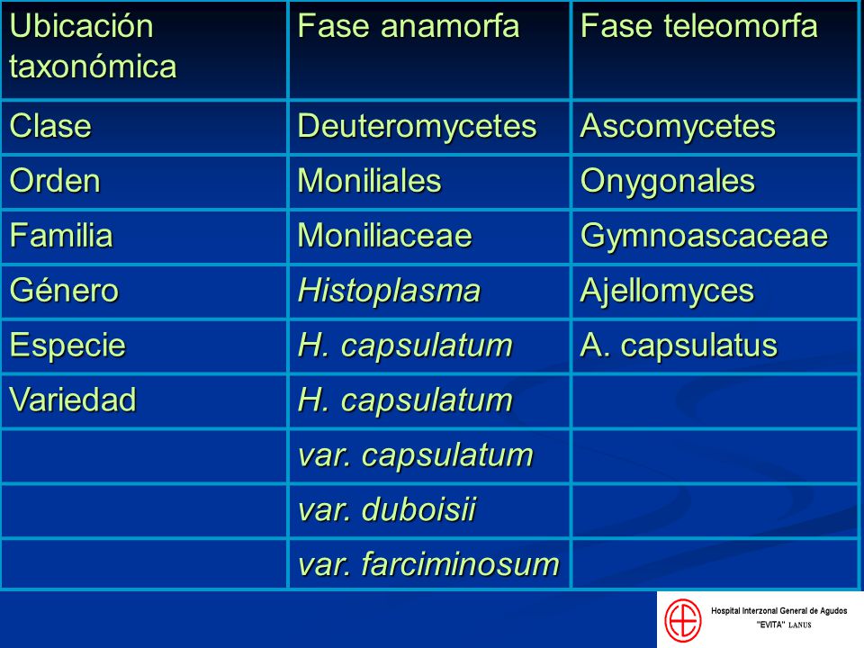 Ubicación taxonómica Fase anamorfa. Fase teleomorfa. Clase. Deuteromycetes. Ascomycetes. Orden.