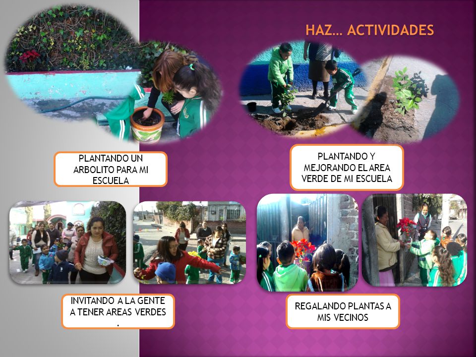 HAZ… ACTIVIDADES PLANTANDO Y MEJORANDO EL AREA VERDE DE MI ESCUELA