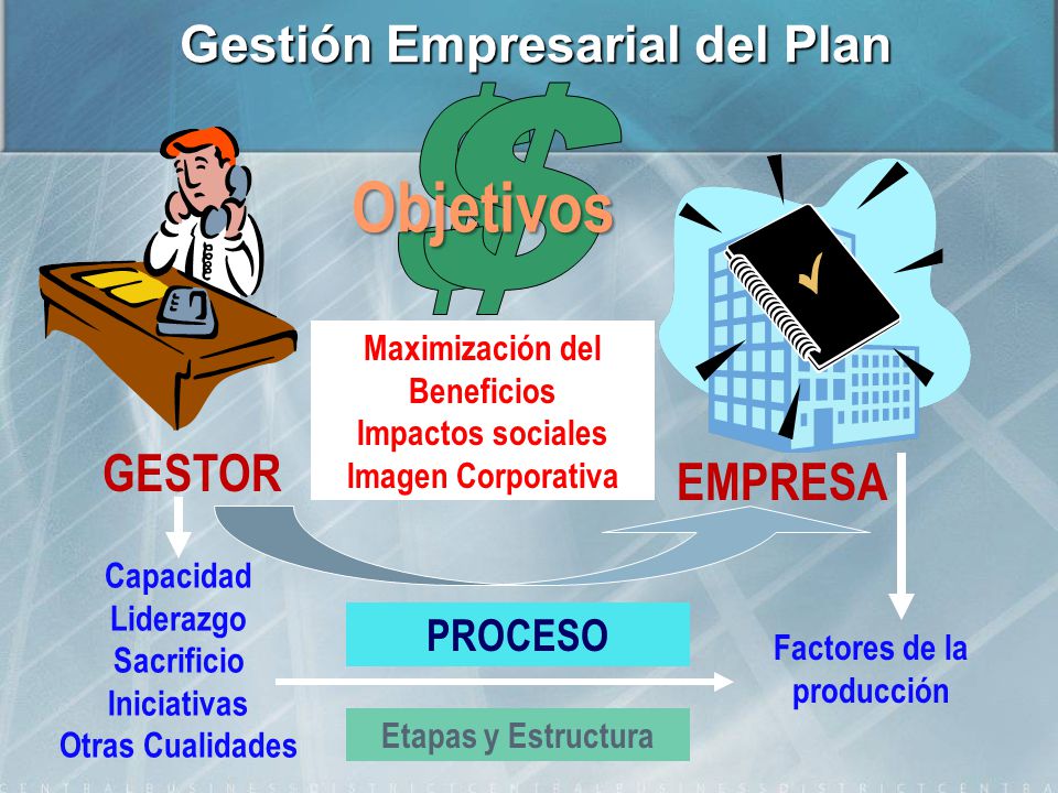 Objetivos $ $ Gestión Empresarial del Plan GESTOR EMPRESA PROCESO