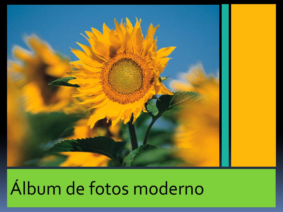 1.- Inmediatamente después de la última diapositiva de la presentación, importe el esquema de archivo de MS Word de nombre Practica2 ubicado en la carpeta Práctica 2
