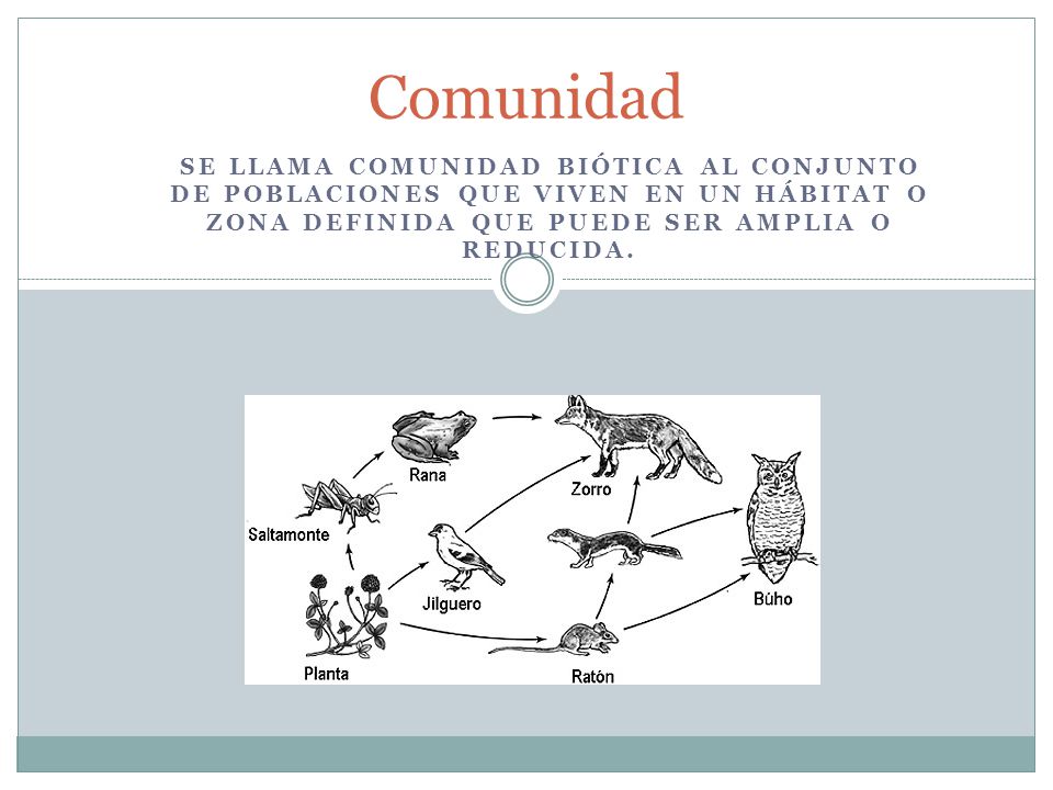 Comunidad Se llama comunidad biótica al conjunto de poblaciones que viven en un hábitat o zona definida que puede ser amplia o reducida.