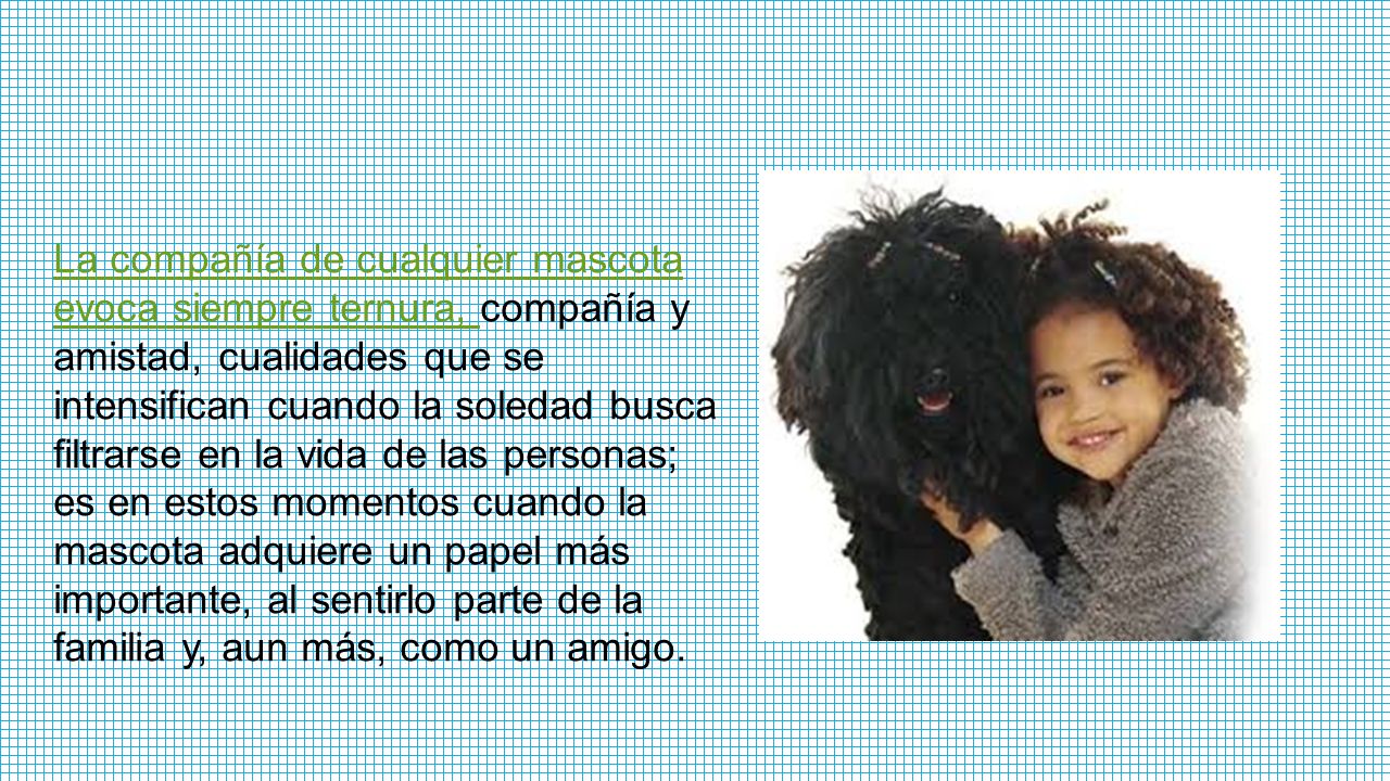 La compañía de cualquier mascota evoca siempre ternura, compañía y amistad, cualidades que se intensifican cuando la soledad busca filtrarse en la vida de las personas; es en estos momentos cuando la mascota adquiere un papel más importante, al sentirlo parte de la familia y, aun más, como un amigo.