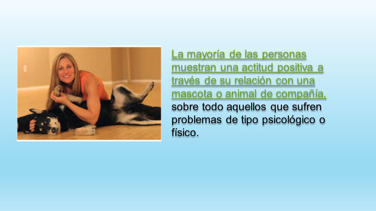 La mayoría de las personas muestran una actitud positiva a través de su relación con una mascota o animal de compañía, sobre todo aquellos que sufren problemas de tipo psicológico o físico.