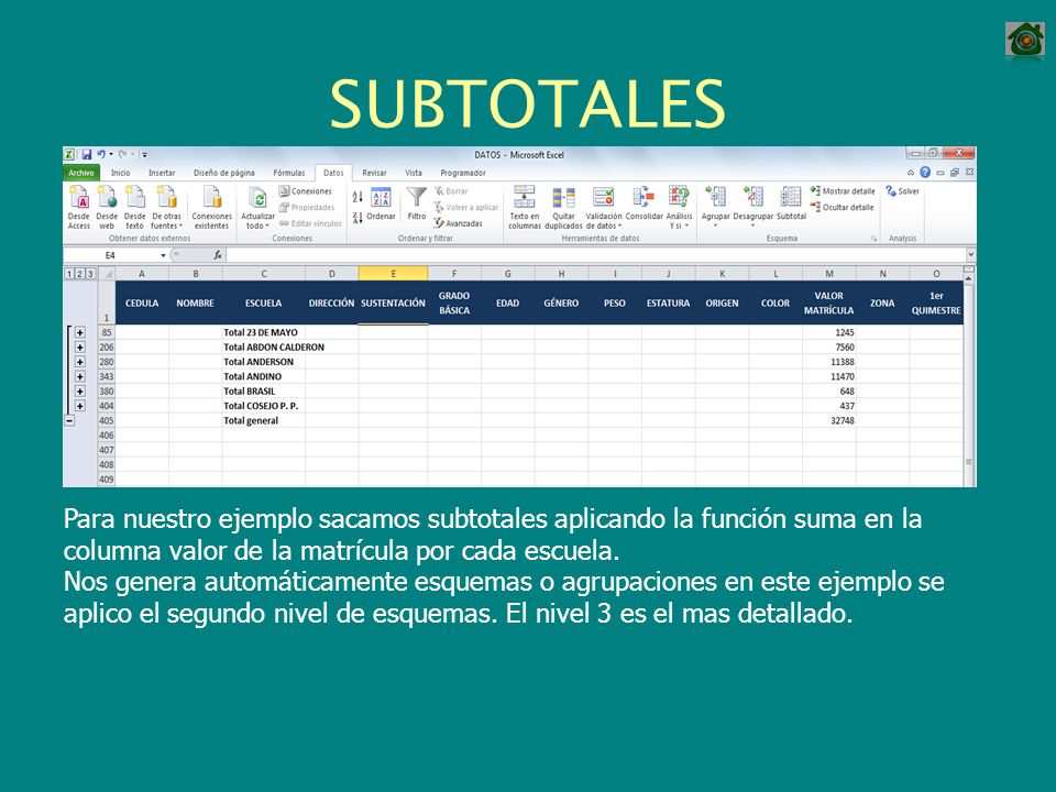 SUBTOTALES Para nuestro ejemplo sacamos subtotales aplicando la función suma en la columna valor de la matrícula por cada escuela.