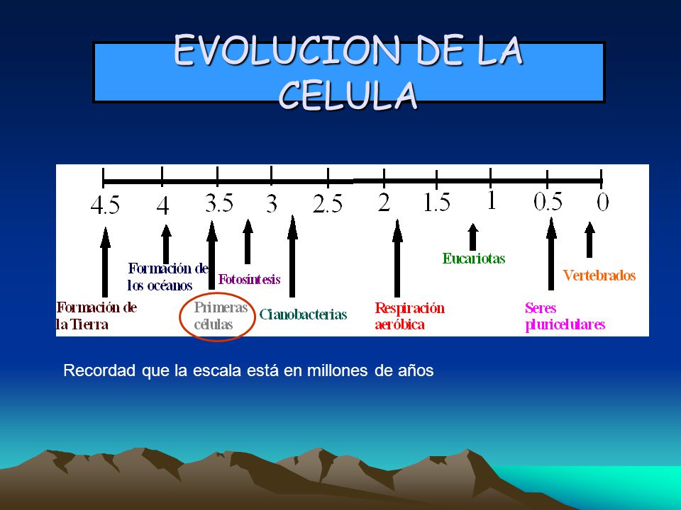 EVOLUCION DE LA CELULA Recordad que la escala está en millones de años
