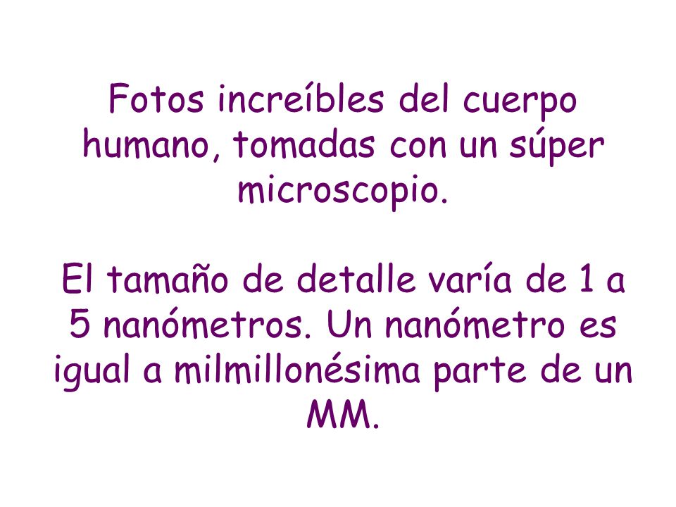 Fotos increíbles del cuerpo humano, tomadas con un súper microscopio