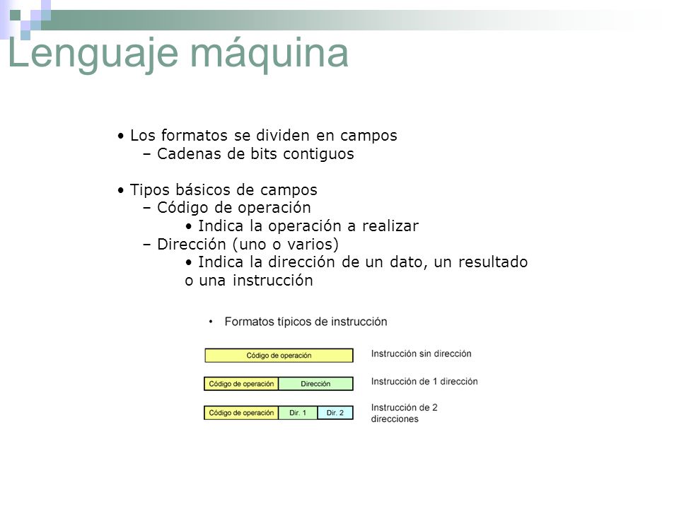 Lenguaje máquina • Los formatos se dividen en campos