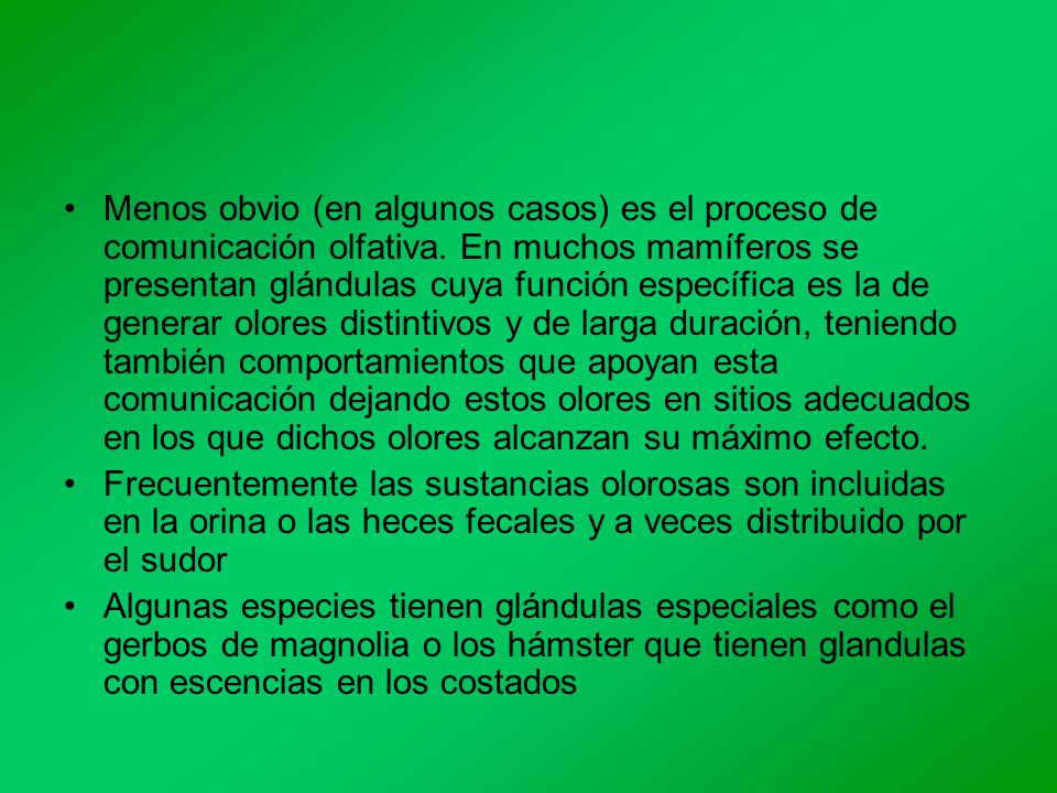 Menos obvio (en algunos casos) es el proceso de comunicación olfativa
