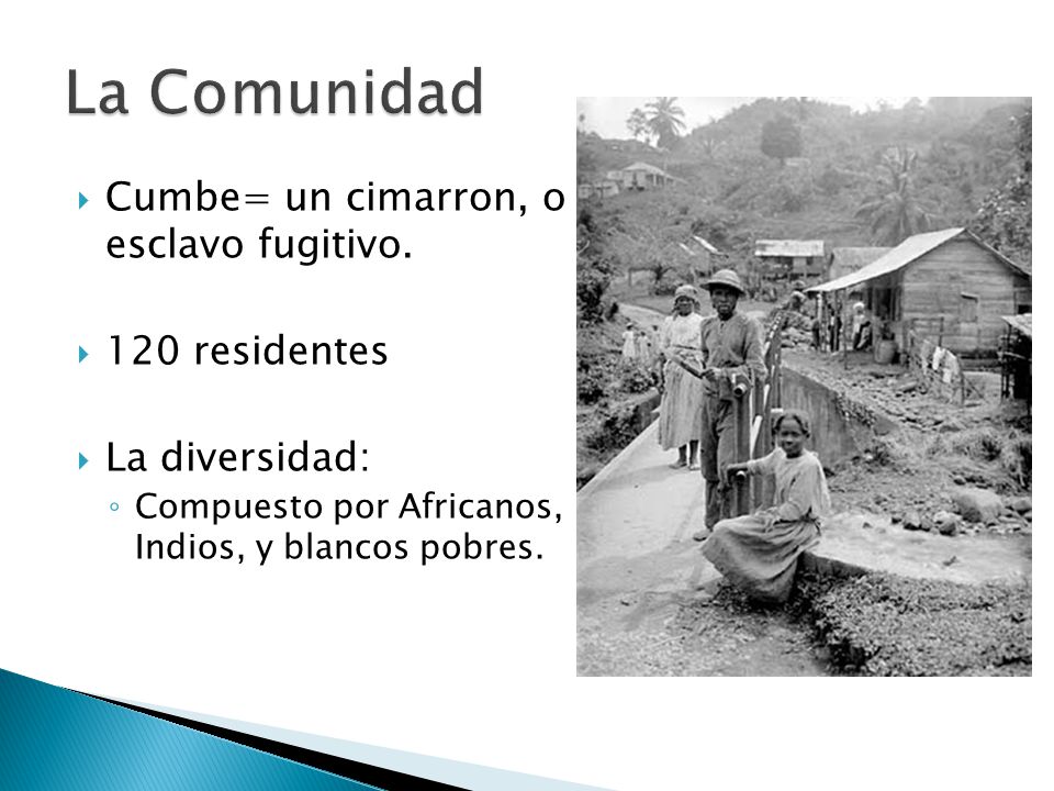 La Comunidad Cumbe= un cimarron, o esclavo fugitivo. 120 residentes