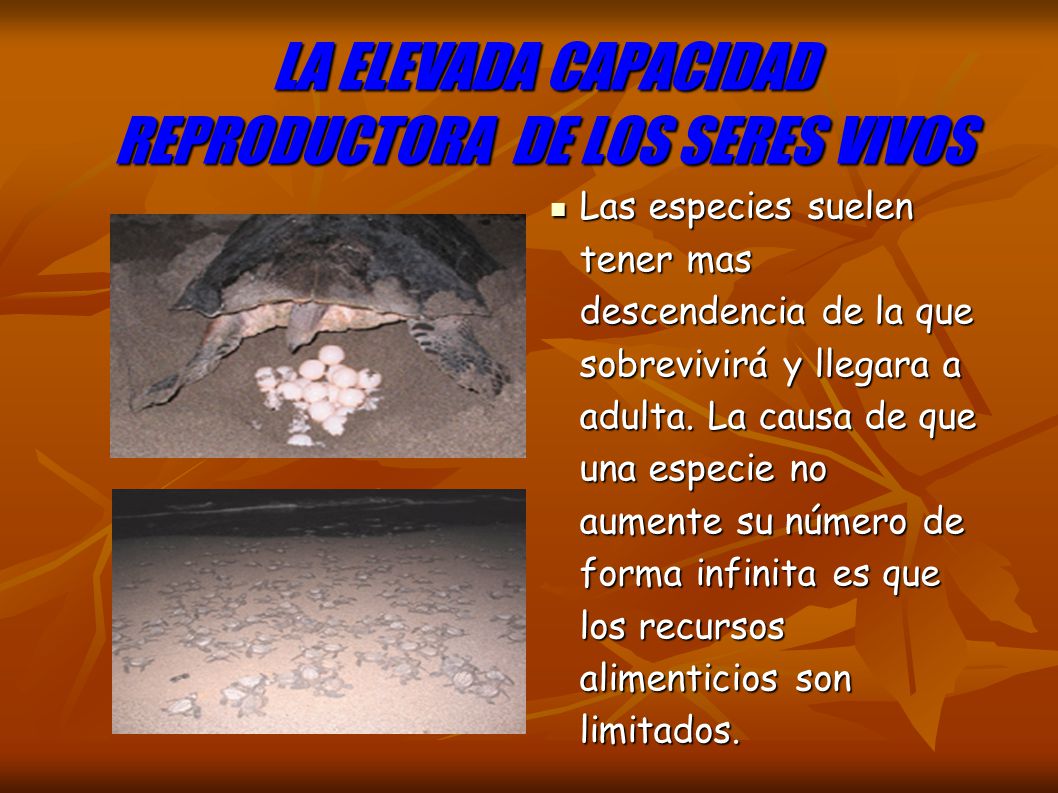 LA ELEVADA CAPACIDAD REPRODUCTORA DE LOS SERES VIVOS