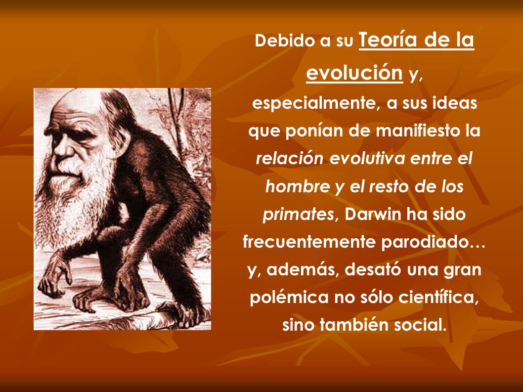 Debido a su Teoría de la evolución y, especialmente, a sus ideas que ponían de manifiesto la relación evolutiva entre el hombre y el resto de los primates, Darwin ha sido frecuentemente parodiado… y, además, desató una gran polémica no sólo científica, sino también social.