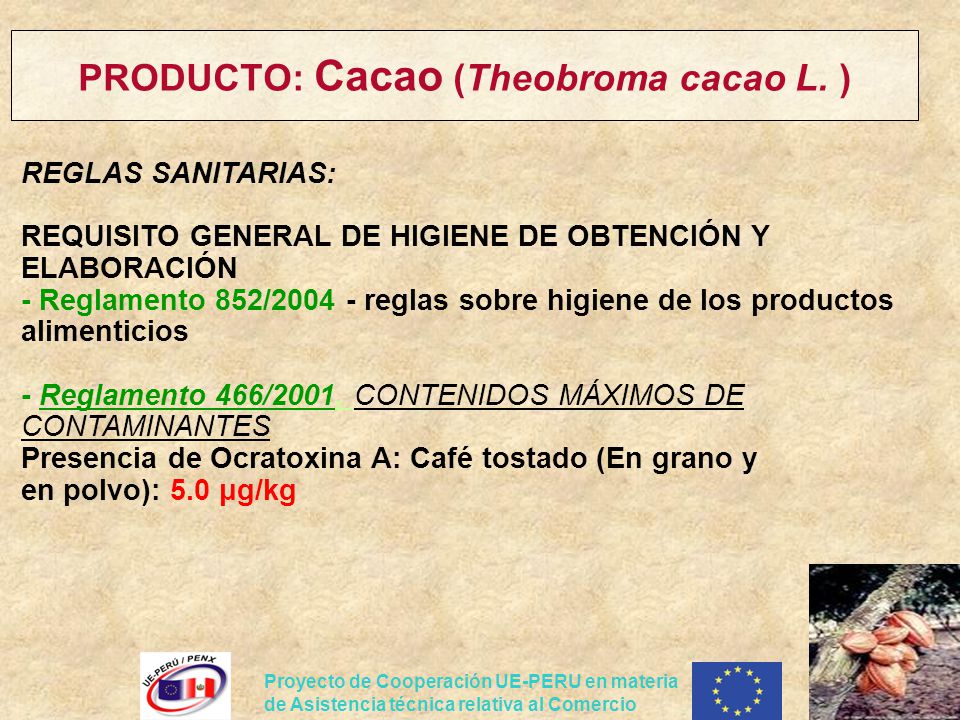 PRODUCTO: Cacao (Theobroma cacao L. )