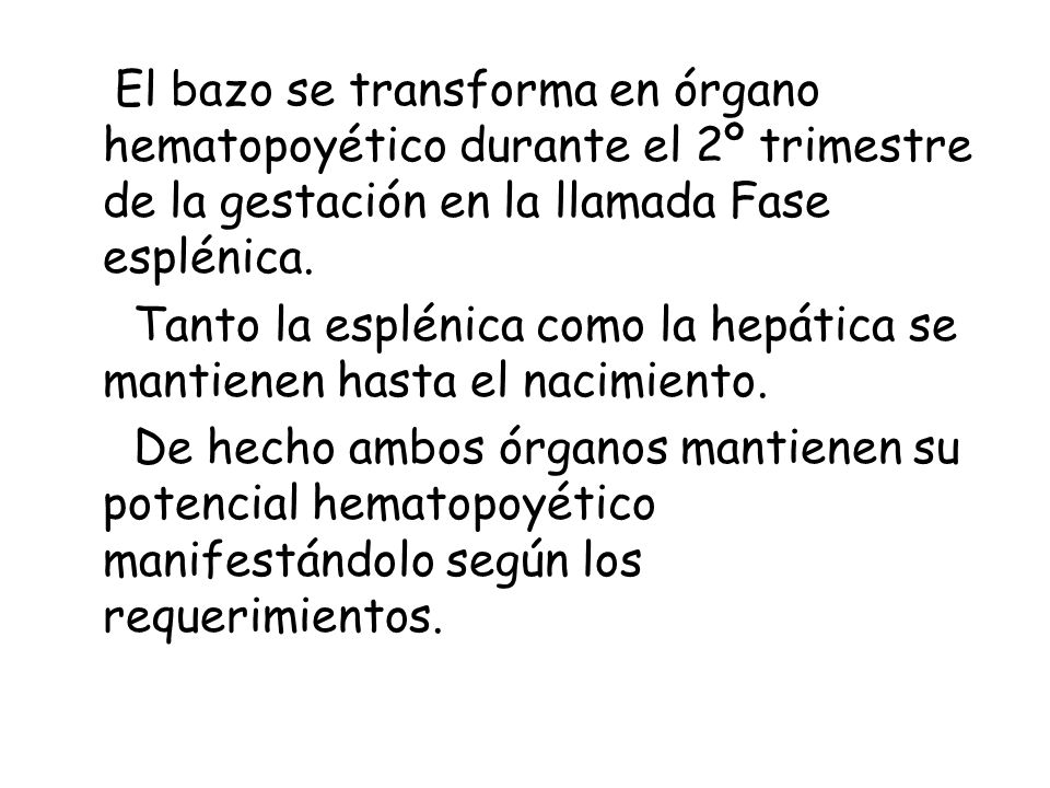 El bazo se transforma en órgano hematopoyético durante el 2º trimestre de la gestación en la llamada Fase esplénica.