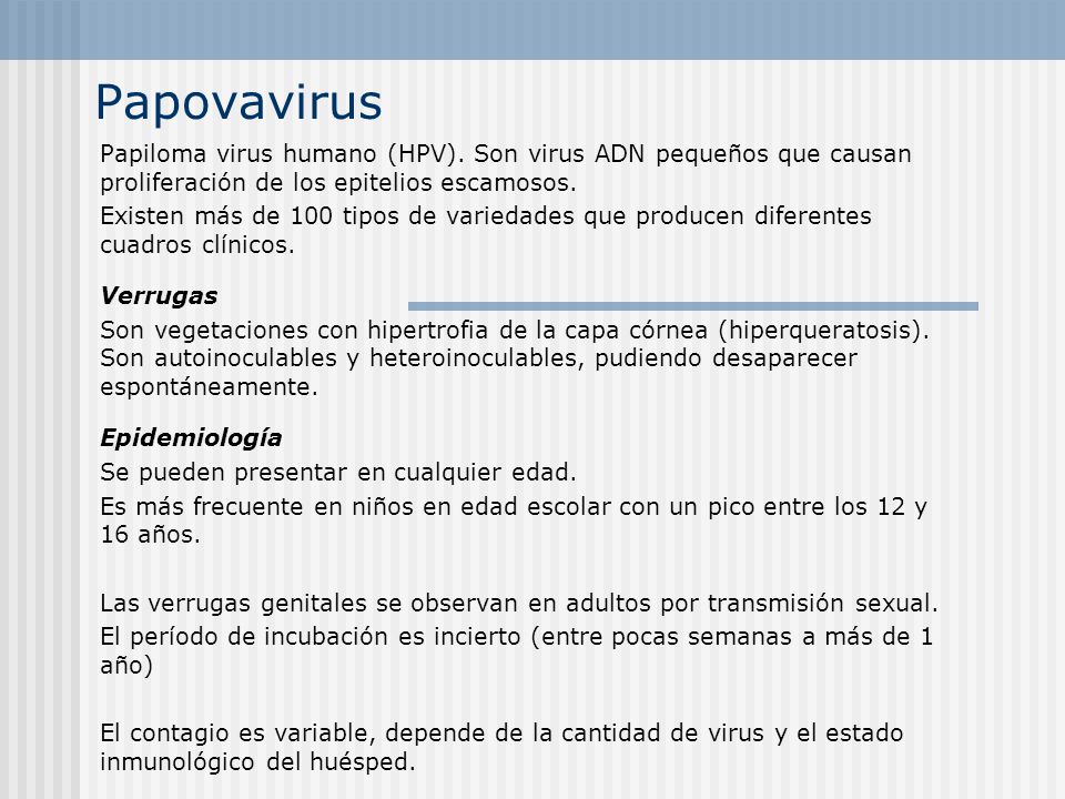 Papovavirus Papiloma virus humano (HPV). Son virus ADN pequeños que causan proliferación de los epitelios escamosos.