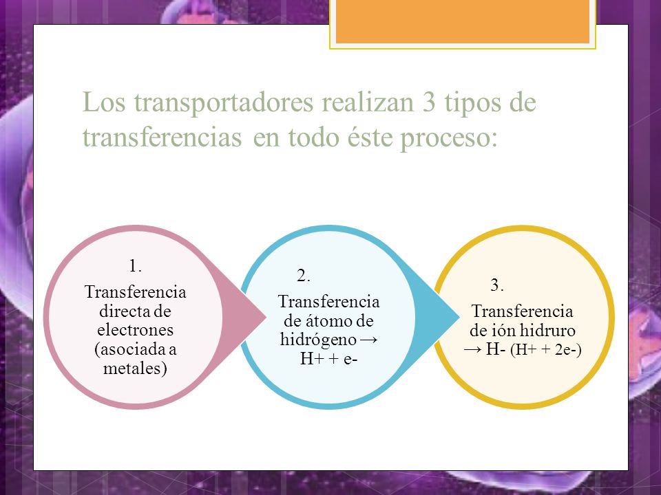 Los transportadores realizan 3 tipos de transferencias en todo éste proceso:
