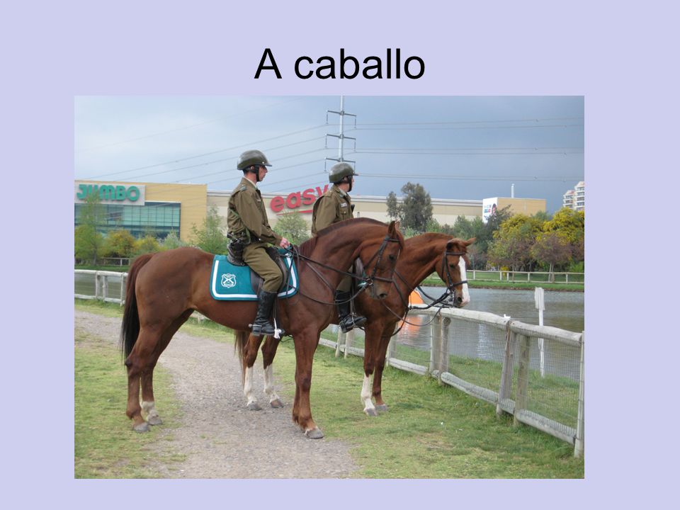 A caballo