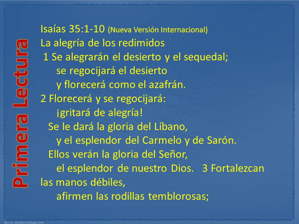 Primera Lectura Isaías 35:1-10 (Nueva Versión Internacional)