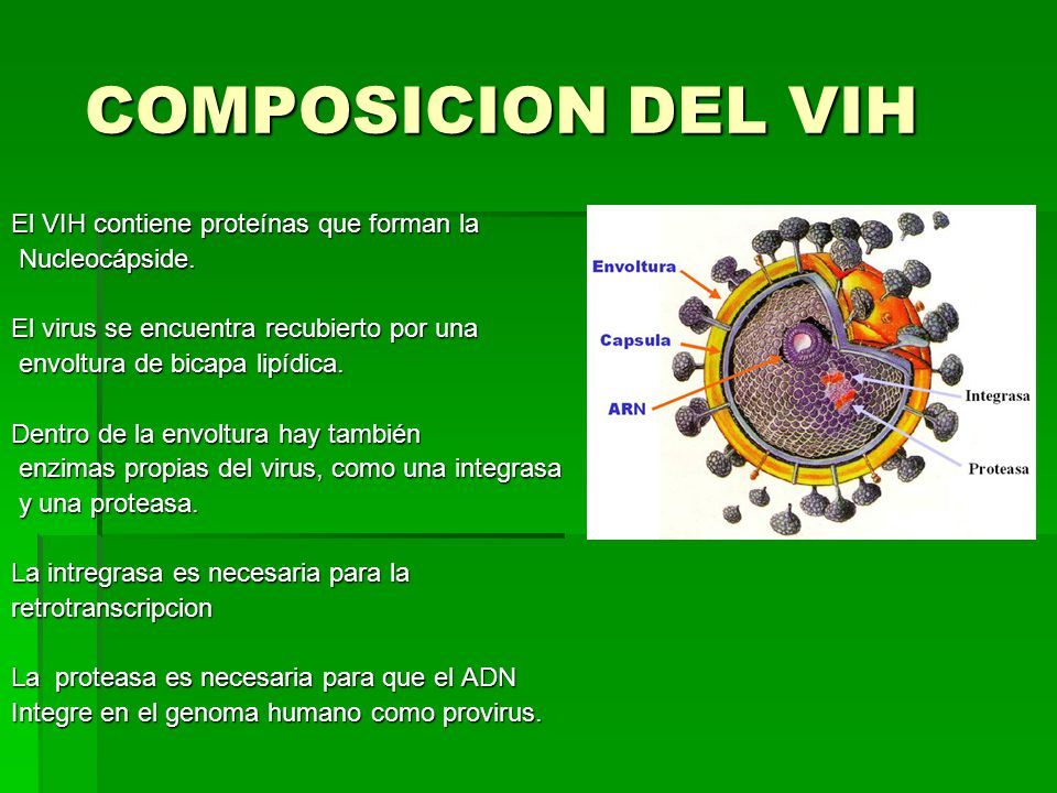 COMPOSICION DEL VIH El VIH contiene proteínas que forman la