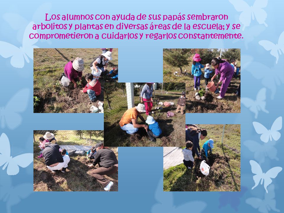 Los alumnos con ayuda de sus papás sembraron arbolitos y plantas en diversas áreas de la escuela; y se comprometieron a cuidarlos y regarlos constantemente.