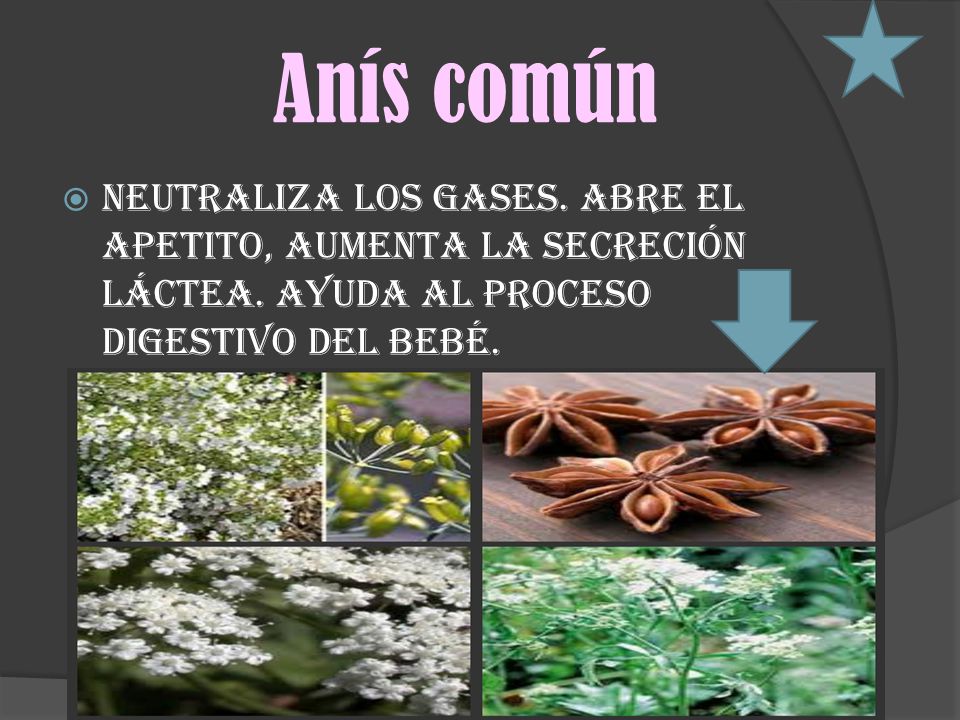 Anís común Neutraliza los gases. Abre el apetito, aumenta la secreción láctea.