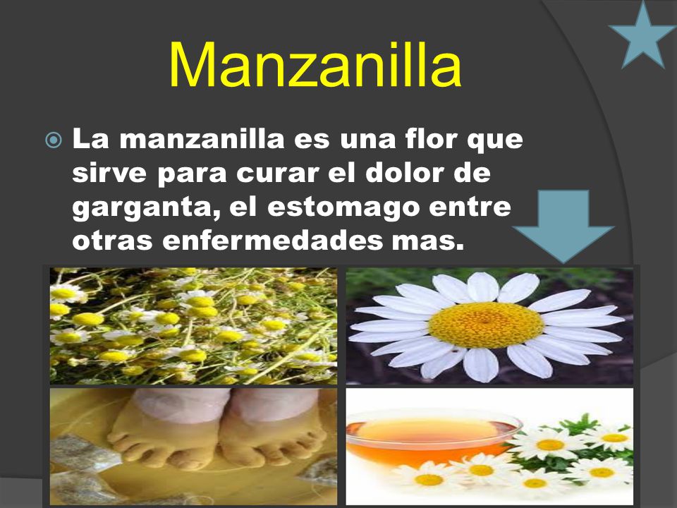 Manzanilla La manzanilla es una flor que sirve para curar el dolor de garganta, el estomago entre otras enfermedades mas.