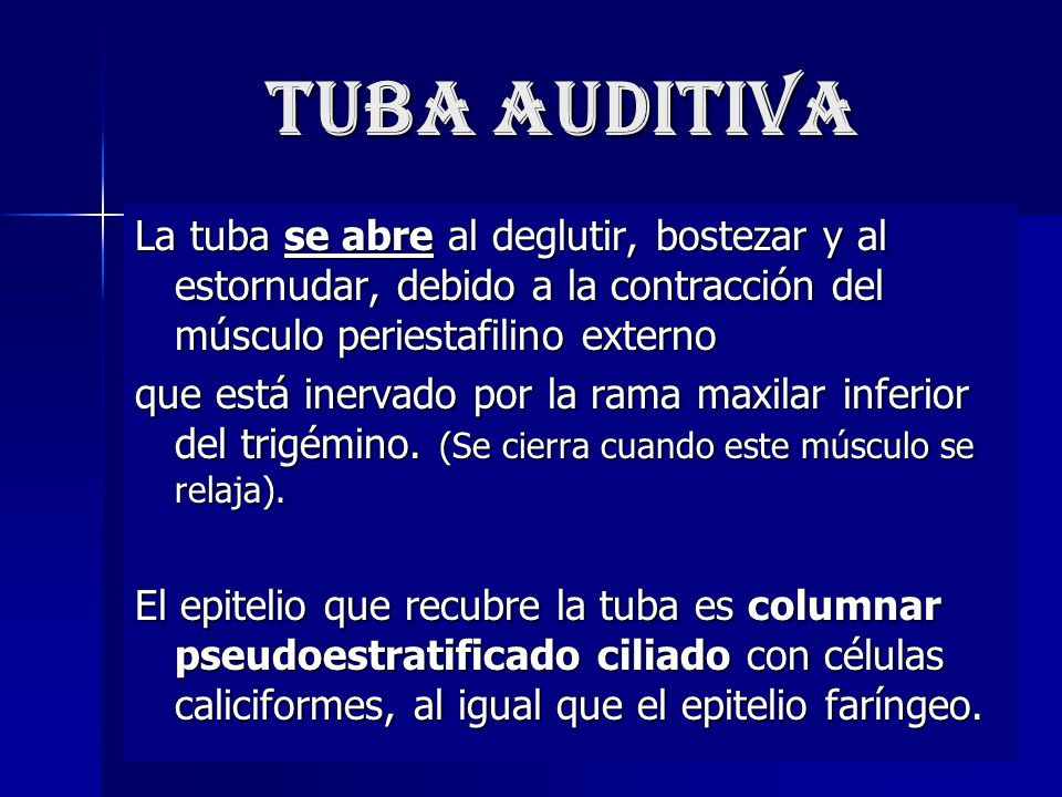 tuba auditiva La tuba se abre al deglutir, bostezar y al estornudar, debido a la contracción del músculo periestafilino externo.