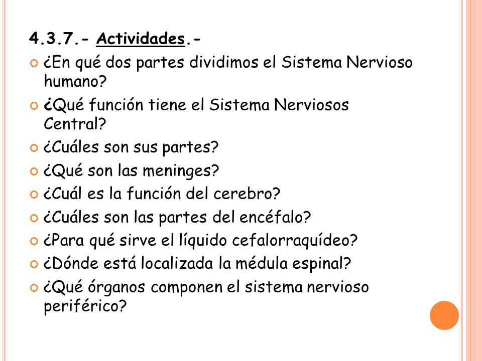 Actividades.- ¿En qué dos partes dividimos el Sistema Nervioso humano ¿Qué función tiene el Sistema Nerviosos Central