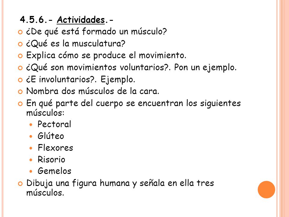 Actividades.- ¿De qué está formado un músculo ¿Qué es la musculatura Explica cómo se produce el movimiento.