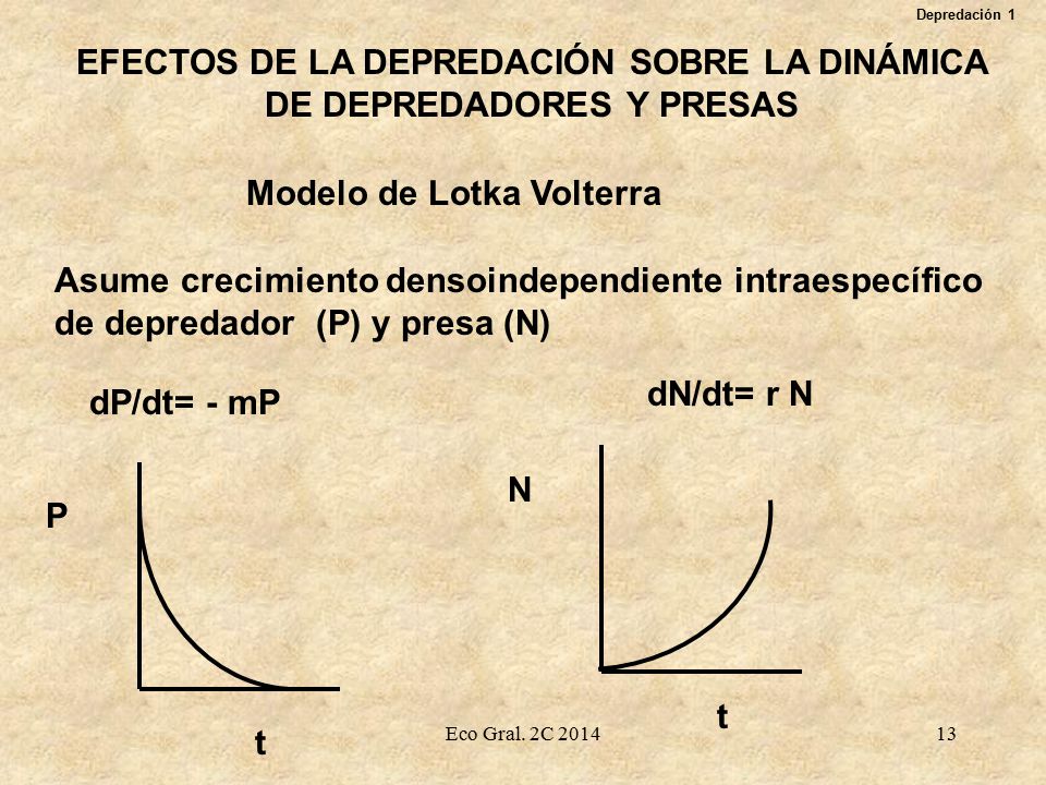 EFECTOS DE LA DEPREDACIÓN SOBRE LA DINÁMICA DE DEPREDADORES Y PRESAS