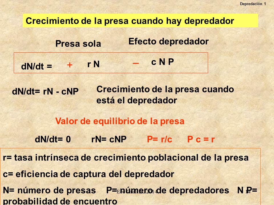 _ + Crecimiento de la presa cuando hay depredador Efecto depredador