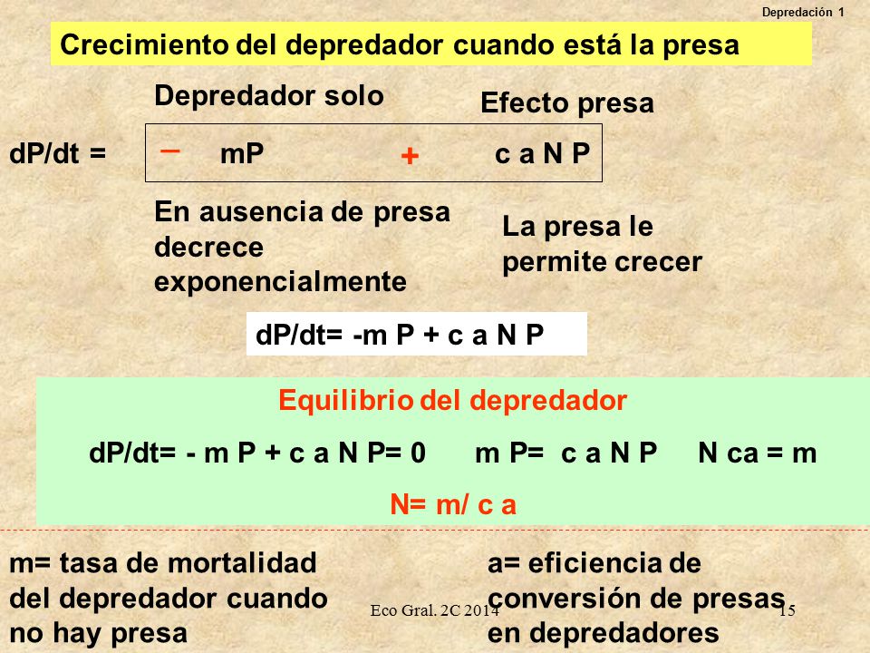 _ + Crecimiento del depredador cuando está la presa Depredador solo