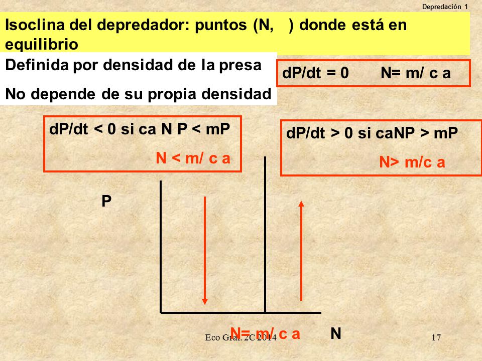 Isoclina del depredador: puntos (N, P) donde está en equilibrio P