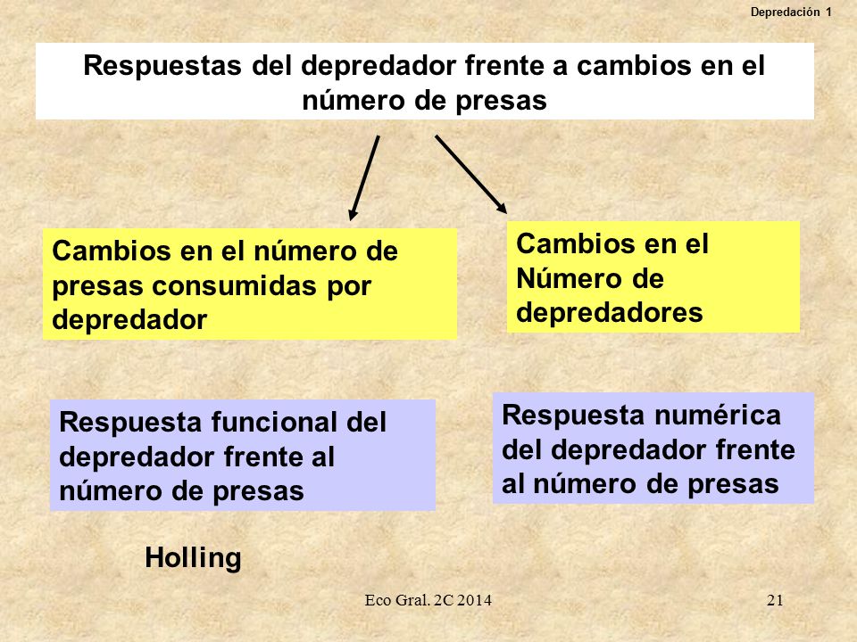 Respuestas del depredador frente a cambios en el número de presas