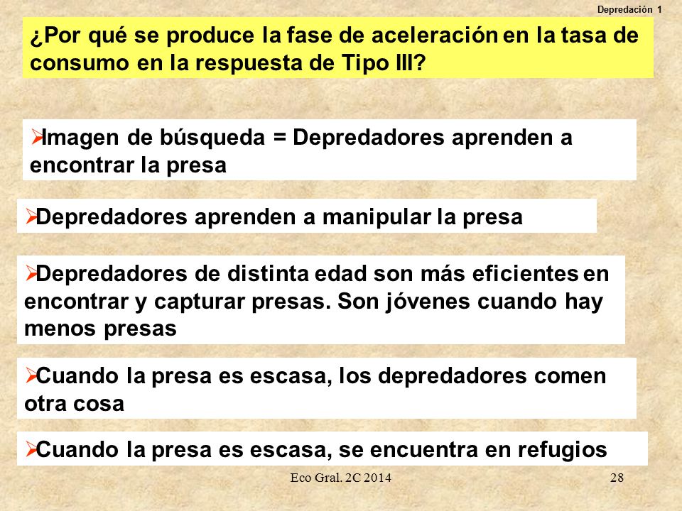 Imagen de búsqueda = Depredadores aprenden a encontrar la presa