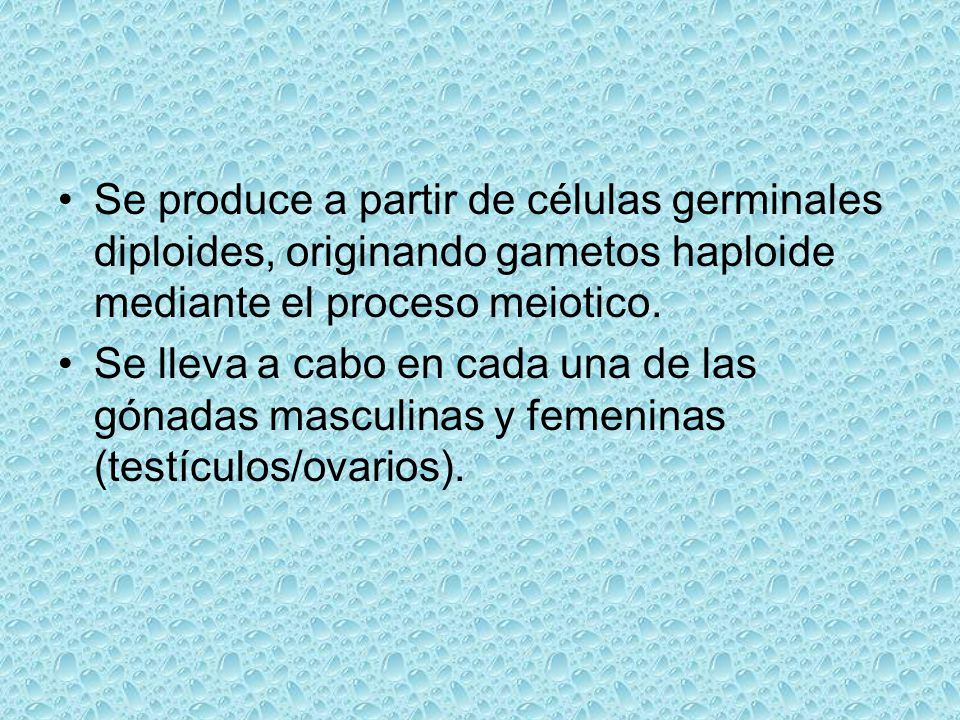Se produce a partir de células germinales diploides, originando gametos haploide mediante el proceso meiotico.