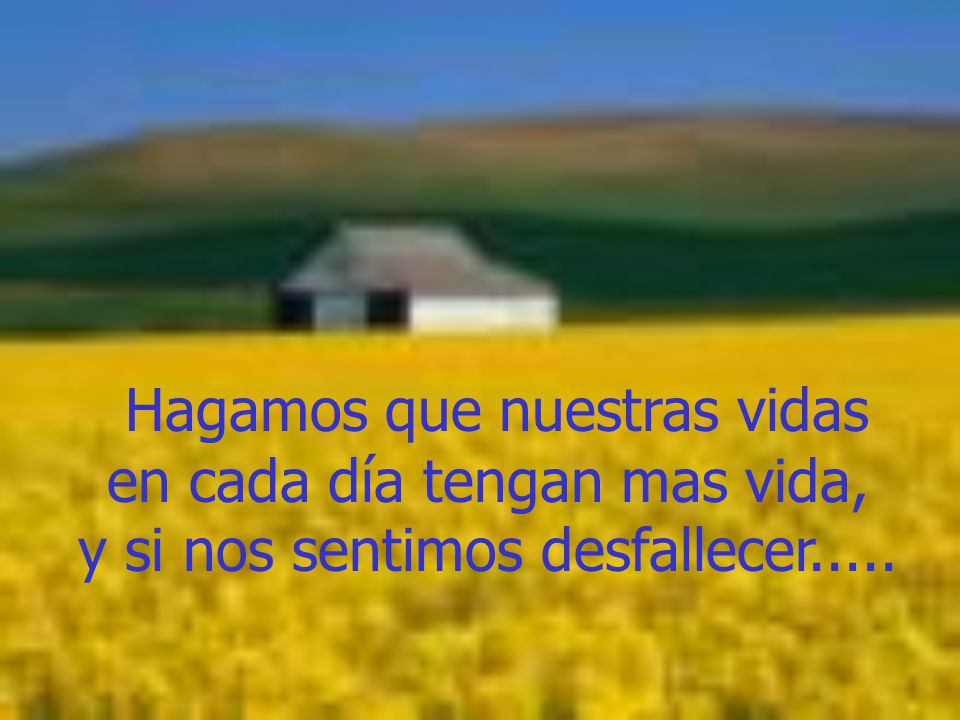 Hagamos que nuestras vidas en cada día tengan mas vida,