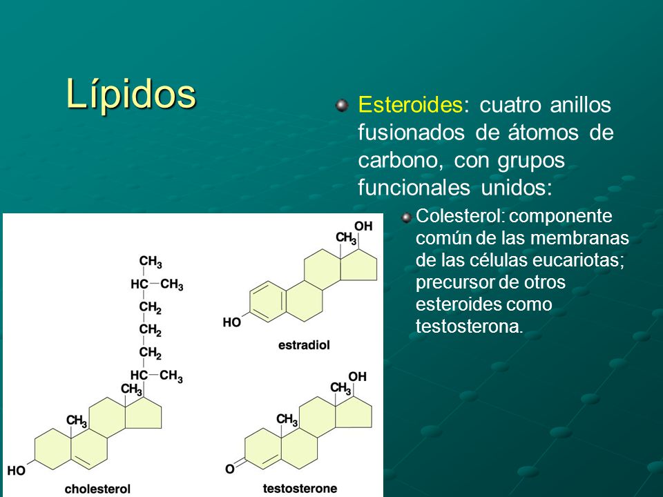 Lípidos Esteroides: cuatro anillos fusionados de átomos de carbono, con grupos funcionales unidos: