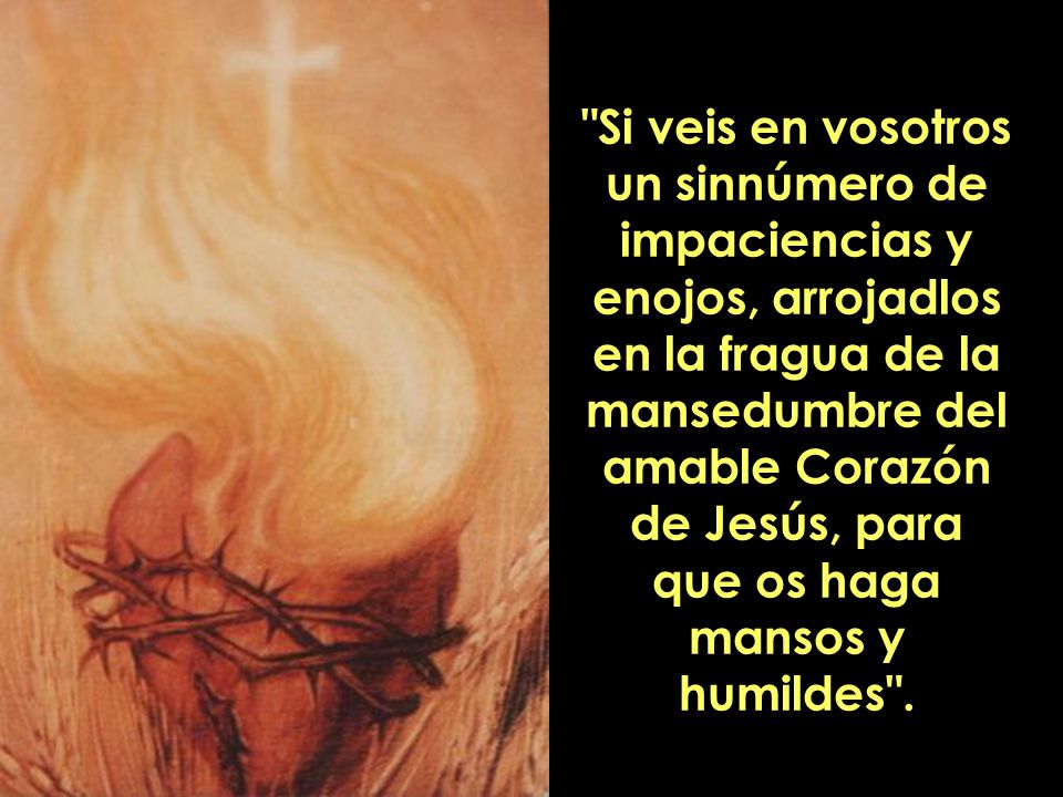 Si veis en vosotros un sinnúmero de impaciencias y enojos, arrojadlos en la fragua de la mansedumbre del amable Corazón de Jesús, para que os haga mansos y humildes .