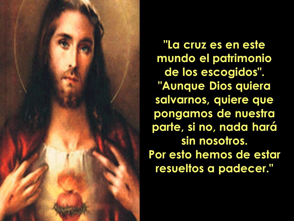 La cruz es en este mundo el patrimonio de los escogidos .