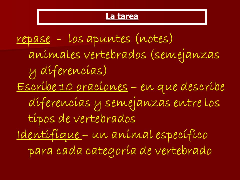 Identifique – un animal específico para cada categoría de vertebrado