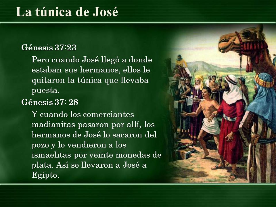 Génesis 37:23 Pero cuando José llegó a donde estaban sus hermanos, ellos le quitaron la túnica que llevaba puesta.