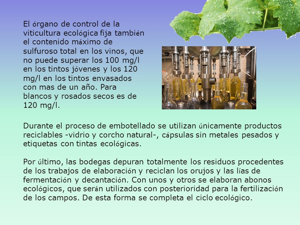 El órgano de control de la viticultura ecológica fija también el contenido máximo de sulfuroso total en los vinos, que no puede superar los 100 mg/l en los tintos jóvenes y los 120 mg/l en los tintos envasados con mas de un año. Para blancos y rosados secos es de 120 mg/l.