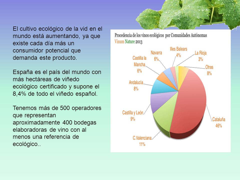 El cultivo ecológico de la vid en el mundo está aumentando, ya que existe cada día más un consumidor potencial que demanda este producto.