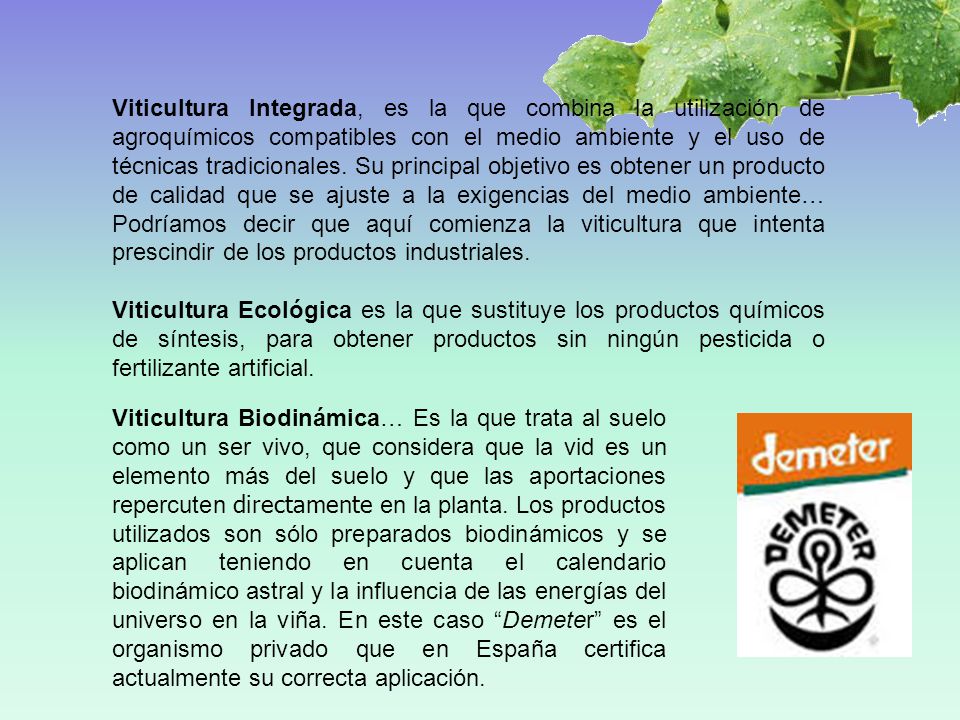 Viticultura Integrada, es la que combina la utilización de agroquímicos compatibles con el medio ambiente y el uso de técnicas tradicionales. Su principal objetivo es obtener un producto de calidad que se ajuste a la exigencias del medio ambiente… Podríamos decir que aquí comienza la viticultura que intenta prescindir de los productos industriales.