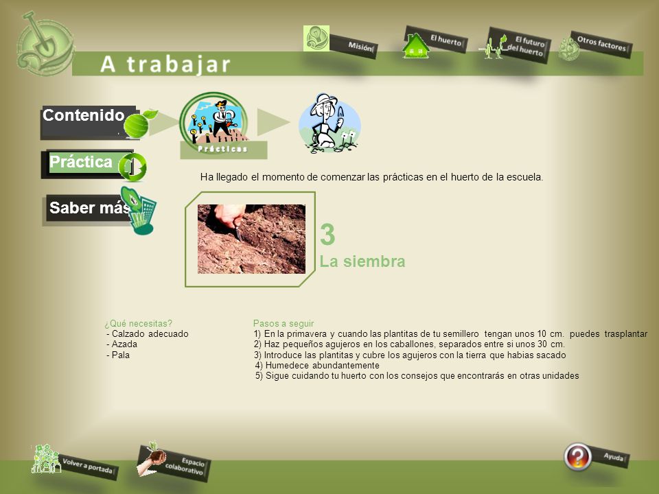 3 Contenido Práctica Saber más La siembra