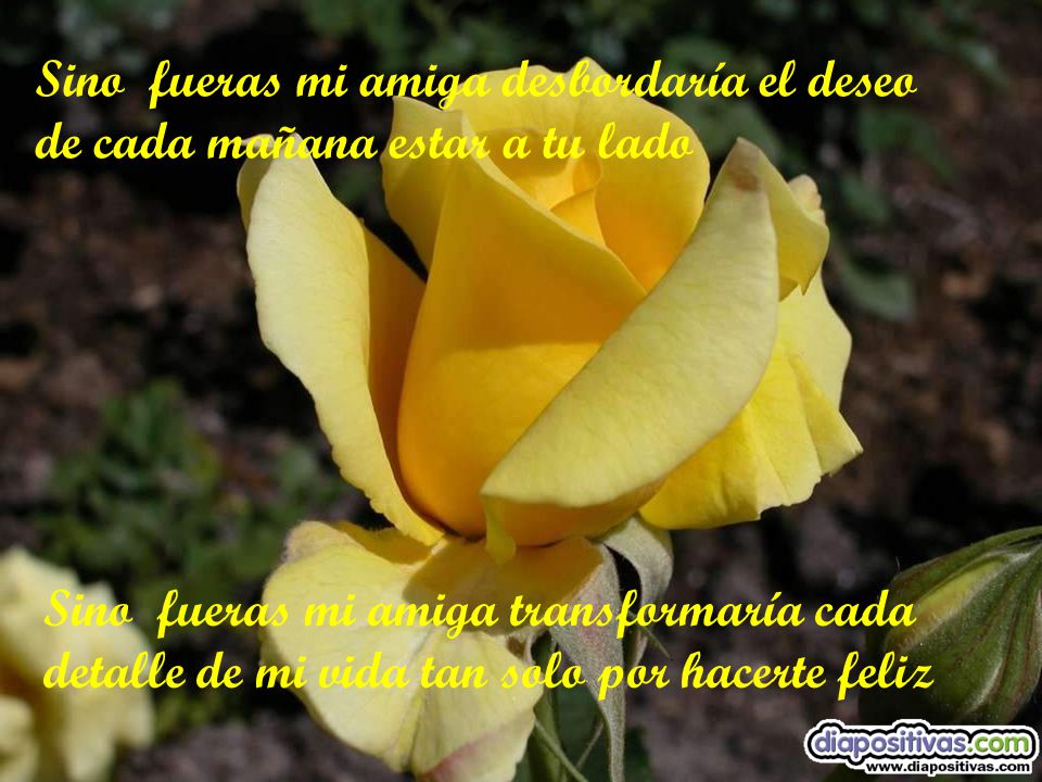 Sino fueras mi amiga desbordaría el deseo de cada mañana estar a tu lado