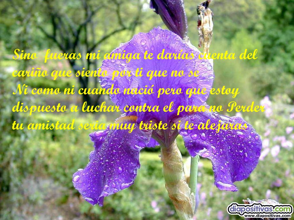 Sino fueras mi amiga te darías cuenta del cariño que siento por ti que no se