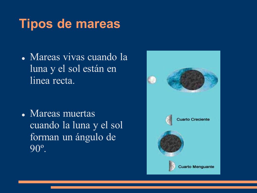 Tipos de mareas Mareas vivas cuando la luna y el sol están en linea recta. Mareas muertas cuando la luna y el sol forman un ángulo de 90º.
