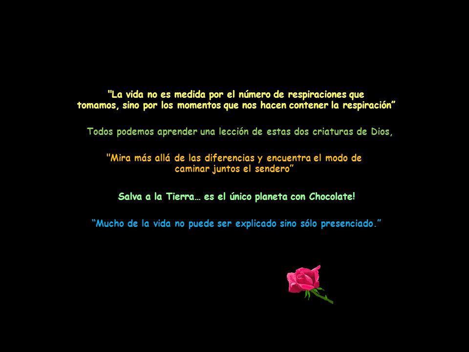 Todos podemos aprender una lección de estas dos criaturas de Dios,