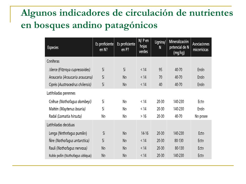 Algunos indicadores de circulación de nutrientes en bosques andino patagónicos